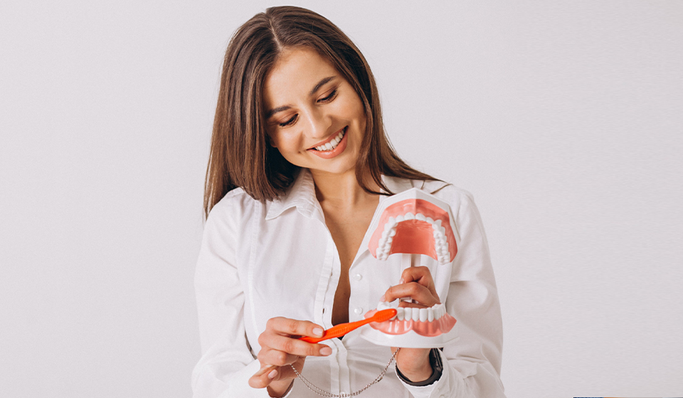 A woman holding an orange scissor and a model of teeth.